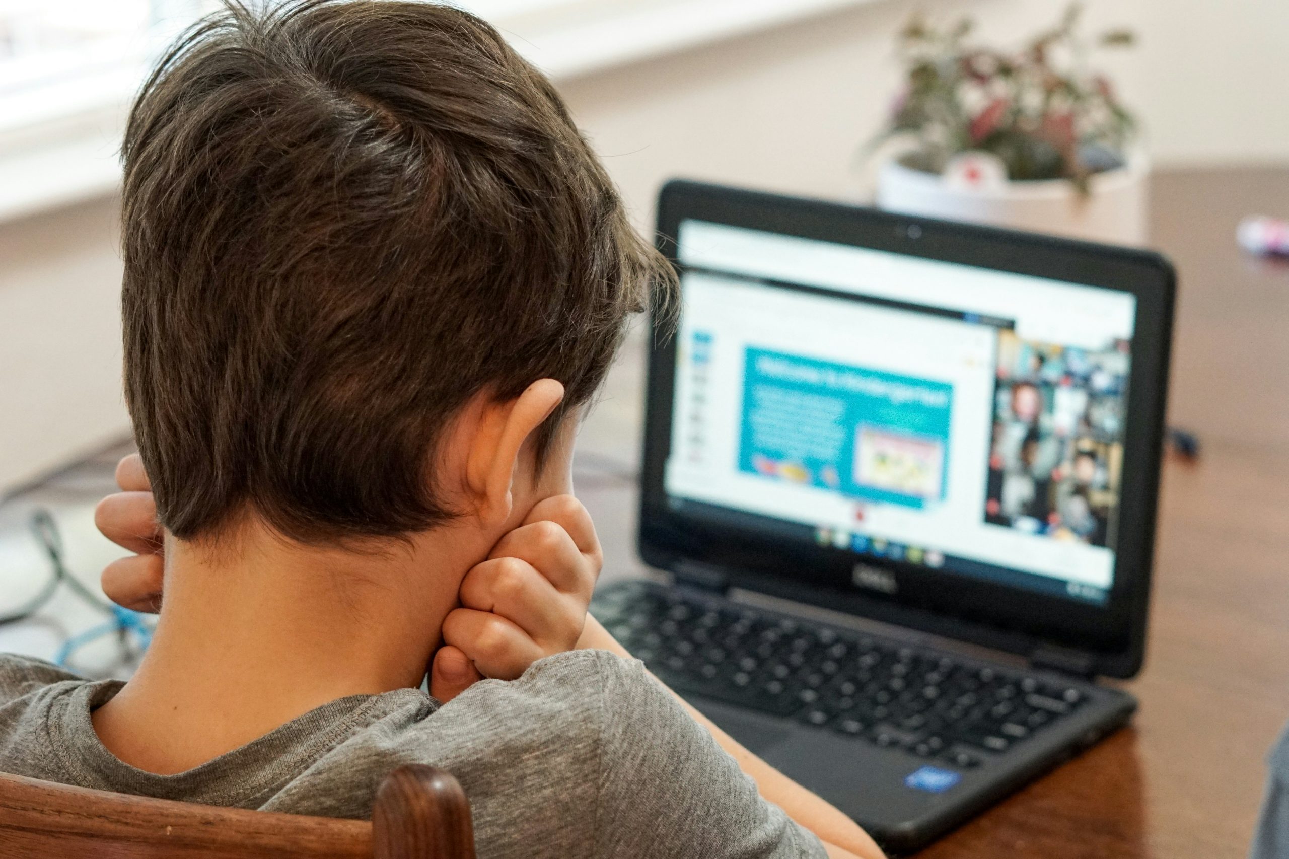 Cyberbullying